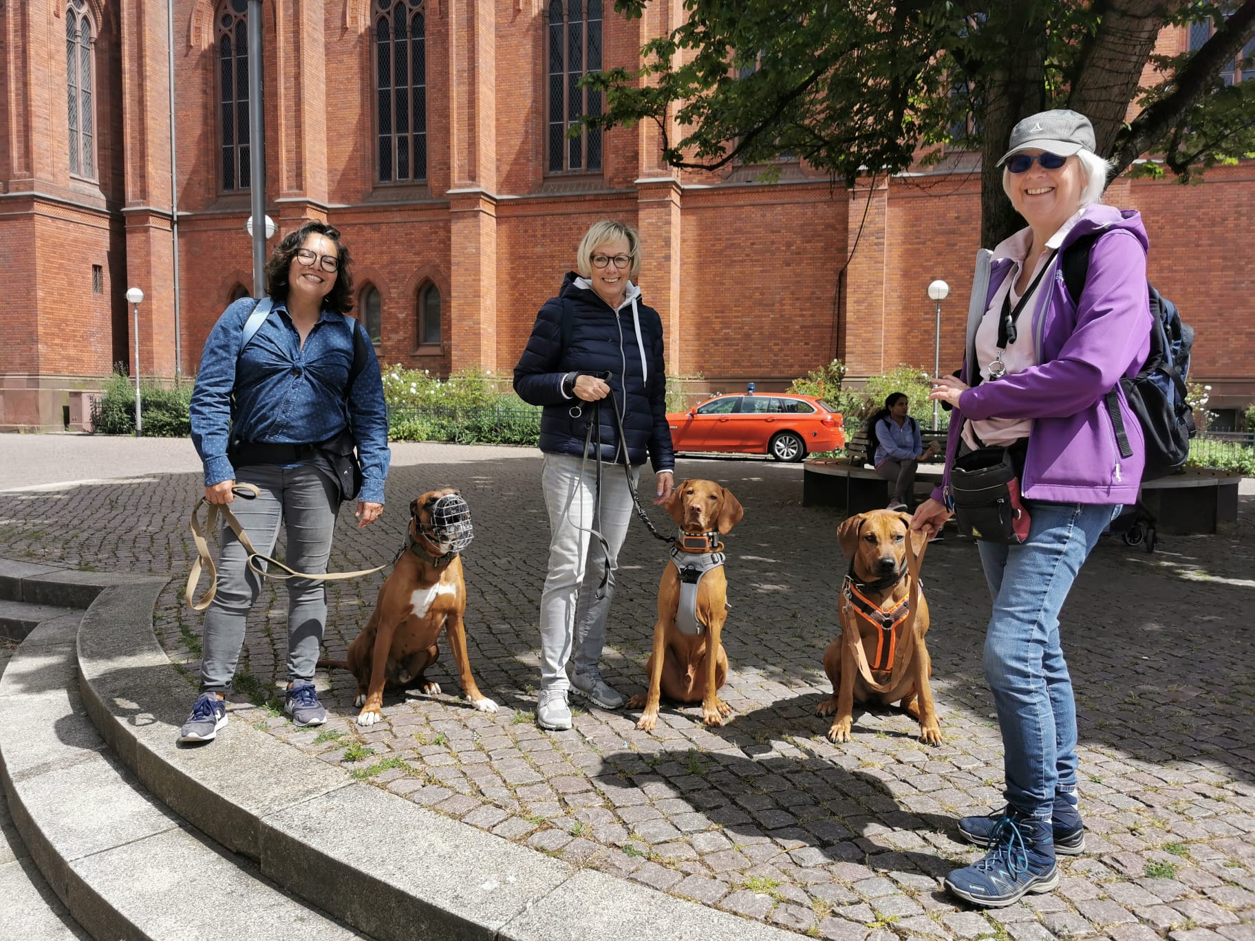 Social Walk Markt