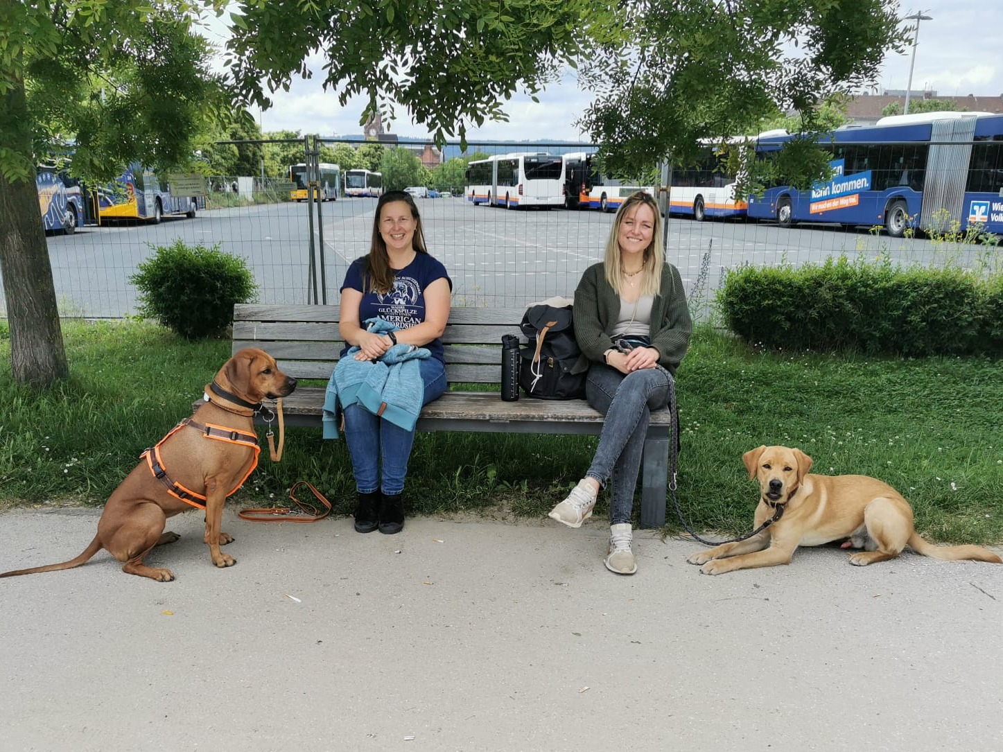 Social Walk Schlachthof