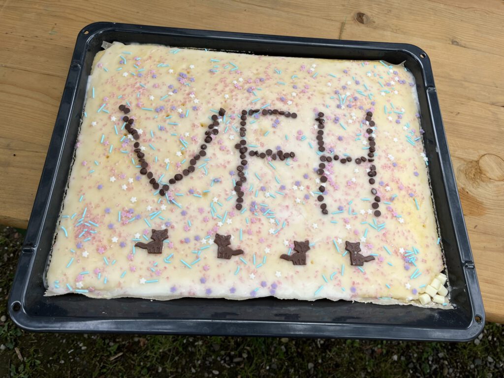 Kuchen mit VfH-Schriftzug beim Sommerfest 2024