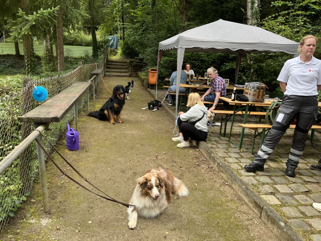 Hund und Menschen auf dem Vereinsgelände des VfH