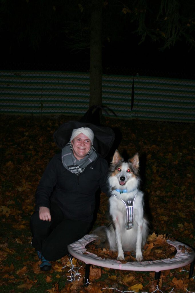 Hund und Halterin auf Trampolin bei der VfH-Nachtübung 2024