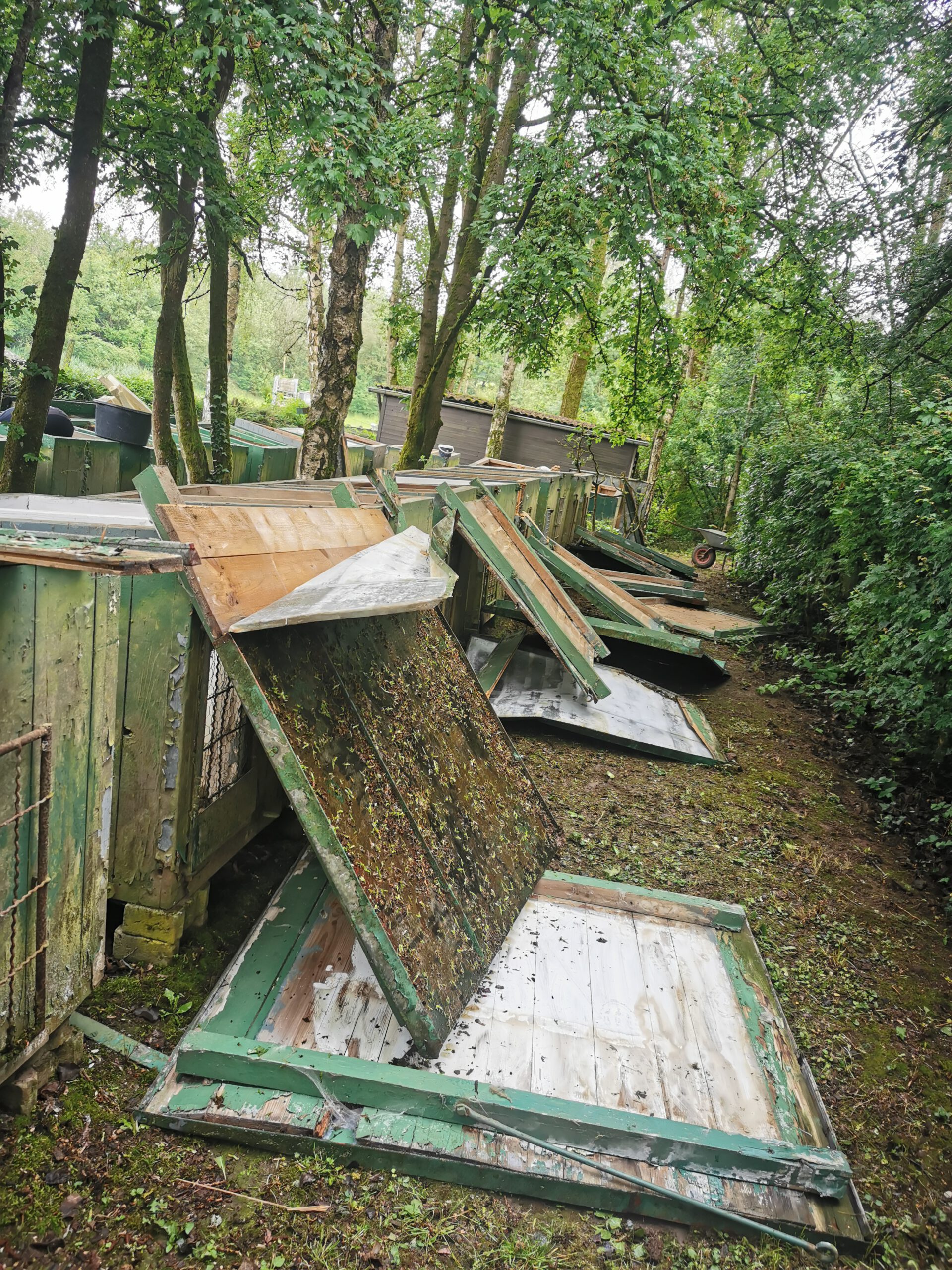 auseinander gebaute Hundeboxen auf dem Boxenplatz im Zuge der Arbeiten am Vereinsgelände 2024