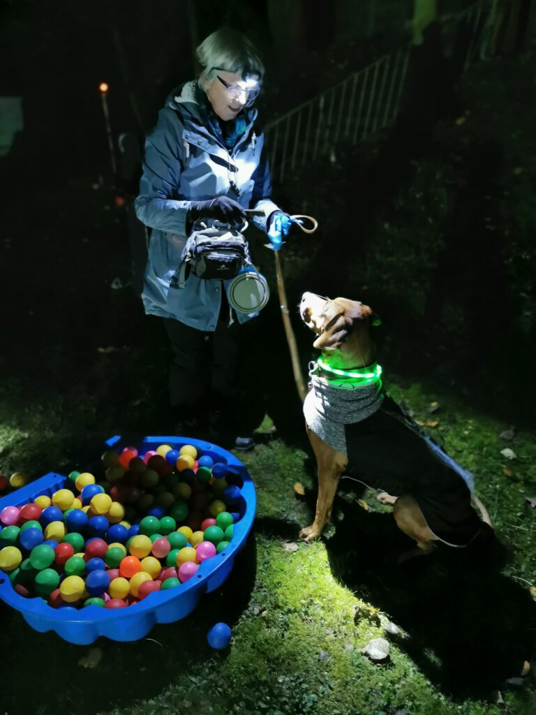 Hund und Halterin vor Bällebad bei der VfH-Nachtübung 2024