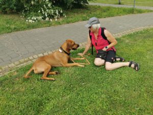 Hund und Frauchen sitzen beim Social Walk auf einer Wiese