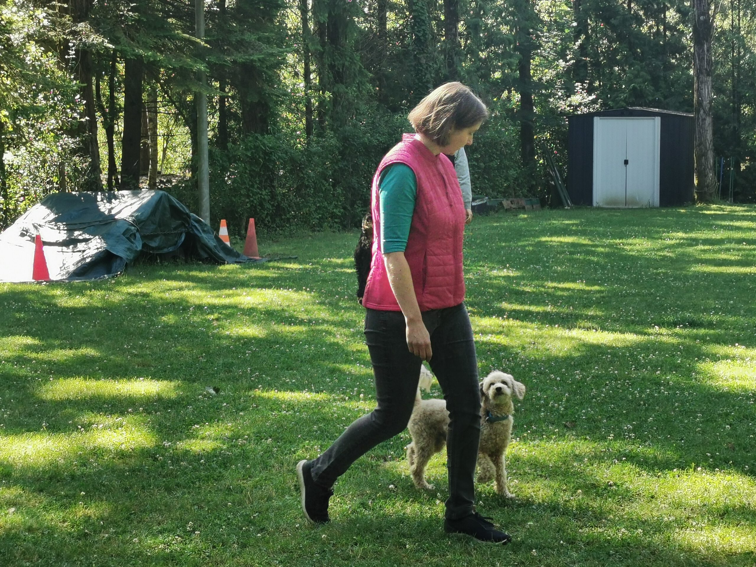 Frau und Hund trainieren Unterordnung für die Begleithundeprüfung