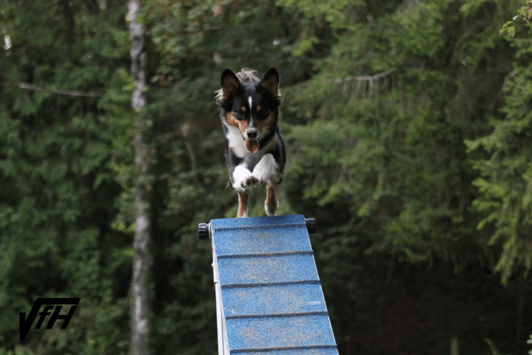 AG-A: Agility für Anfänger