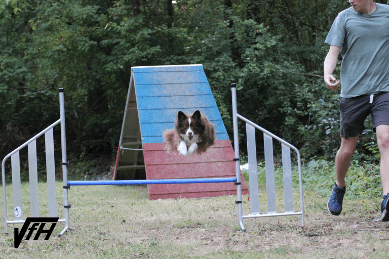 AG-F: Agility für Fortgeschrittene